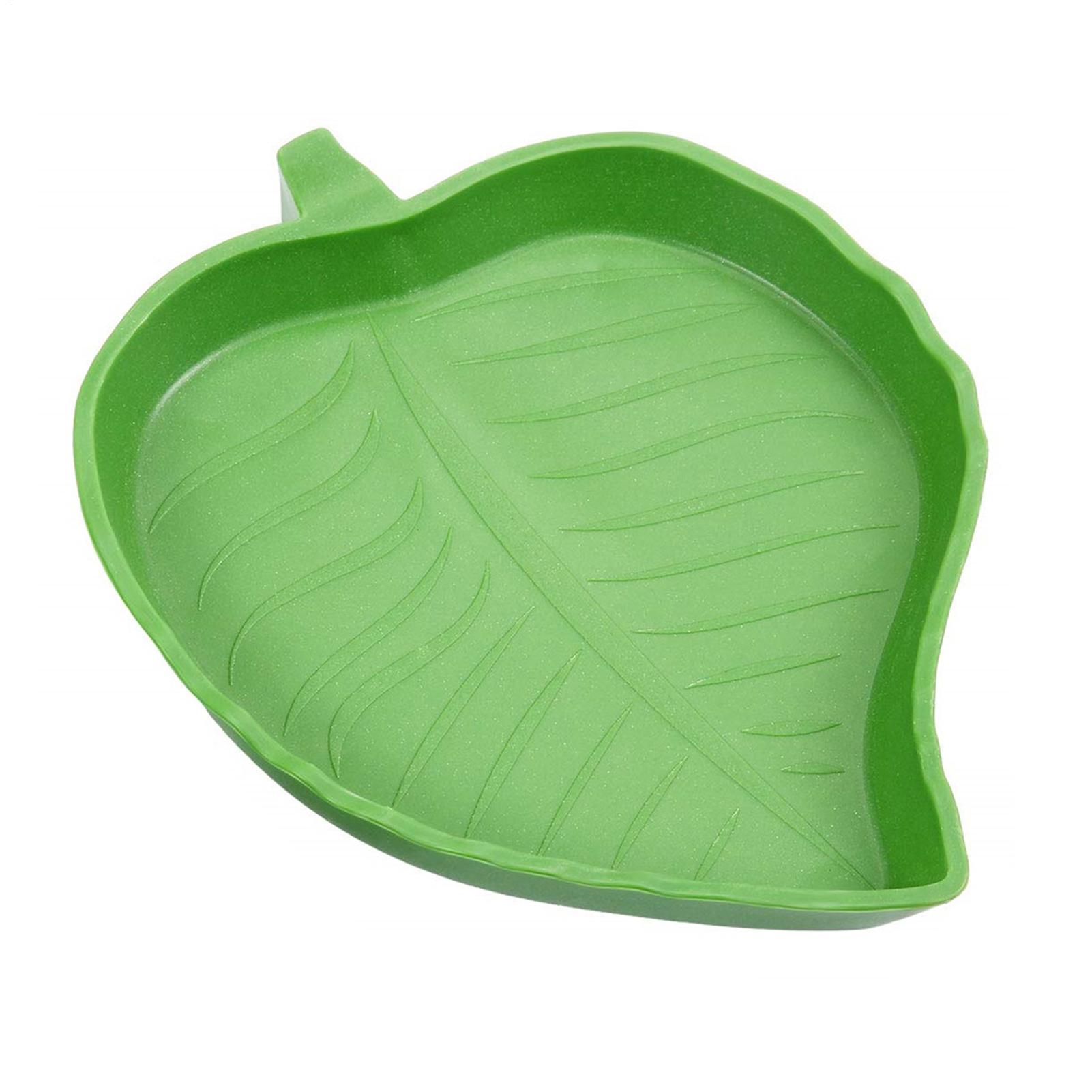 Water Dish Reptile - Cuenco de agua y comida para