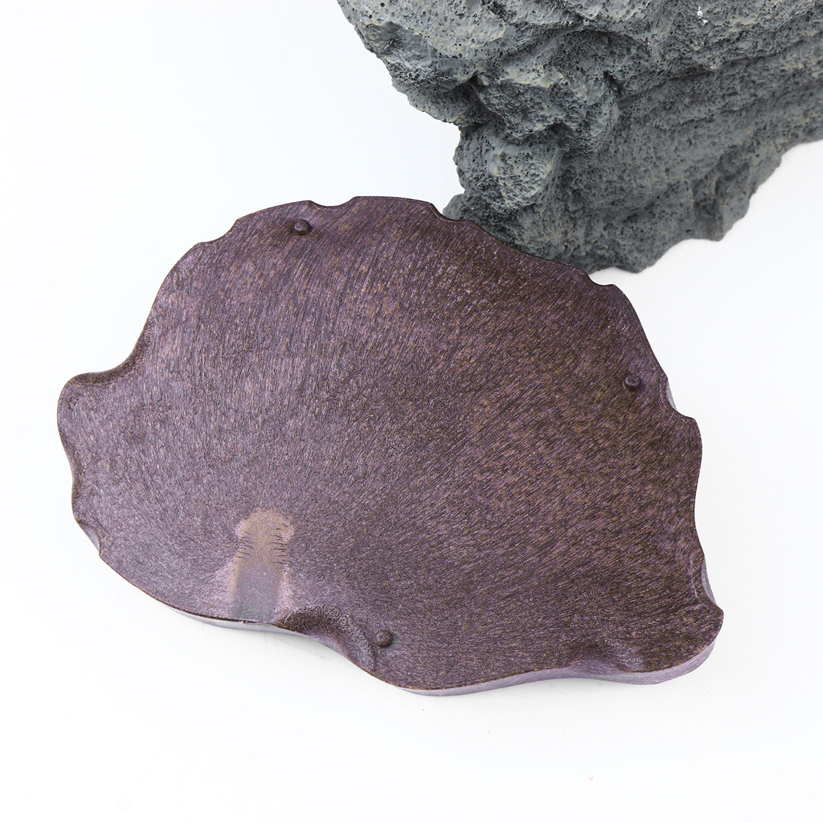 Plato de Resina para Reptiles, - Water Dish Reptile reseña y precio