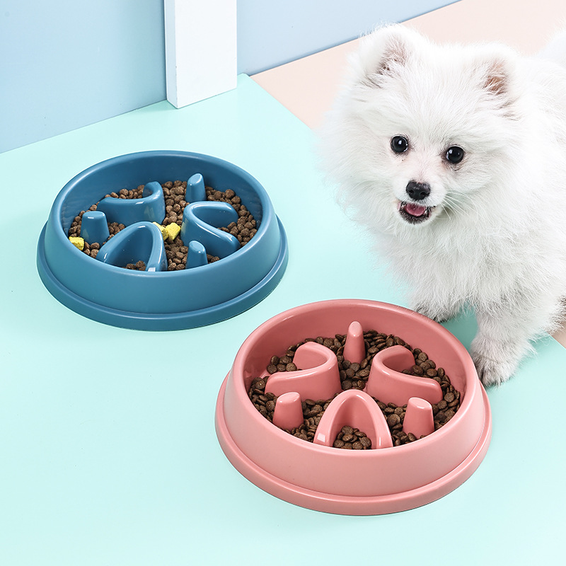 Comedero Lento para Perros, An - Royal Canin Food Medium reseña y precio
