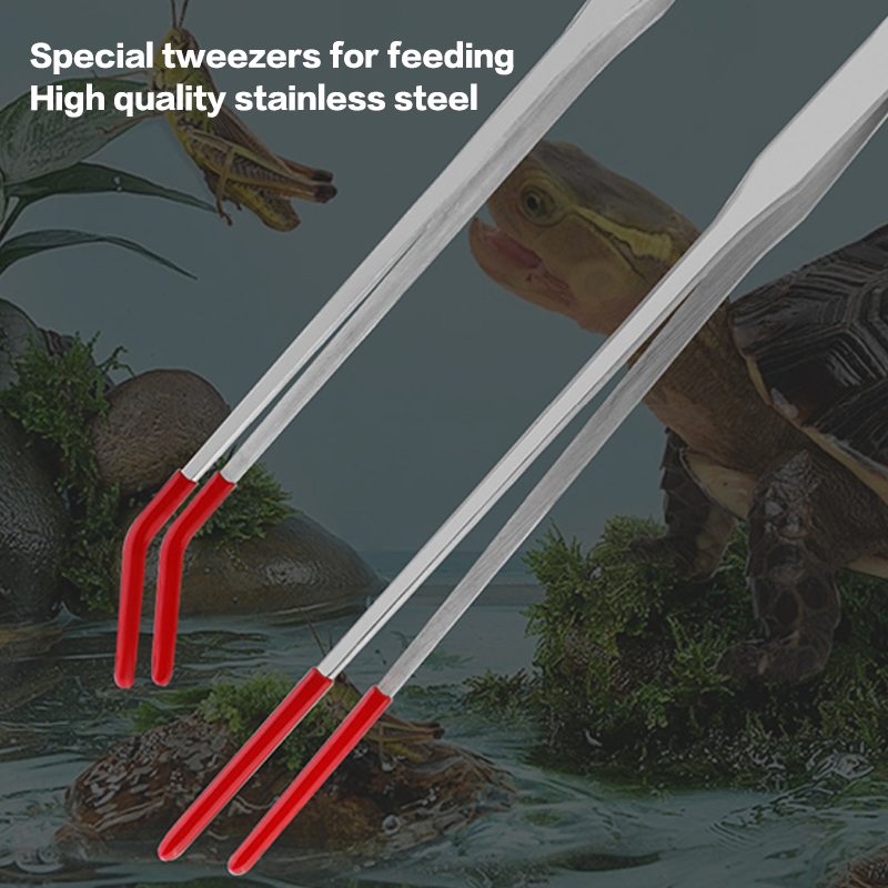 Pinzas de Acero Inoxidable par - Feeding Tong Stainless reseña y precio