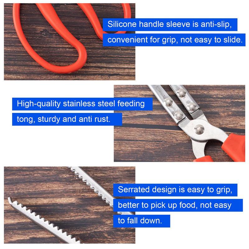 Alimentador de reptiles de ace - Feeding Tong Stainless reseña y precio