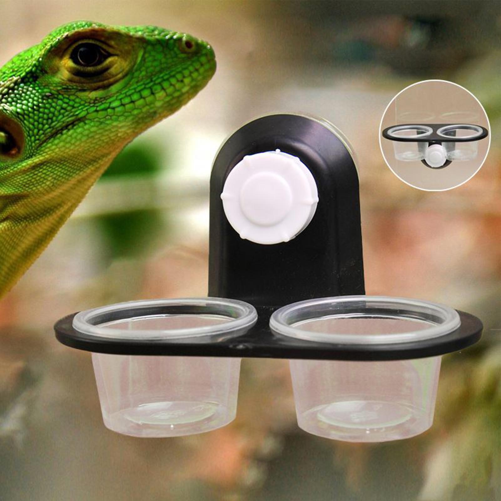 Plato de comida para geckos, d - Water Dish Reptile reseña y precio