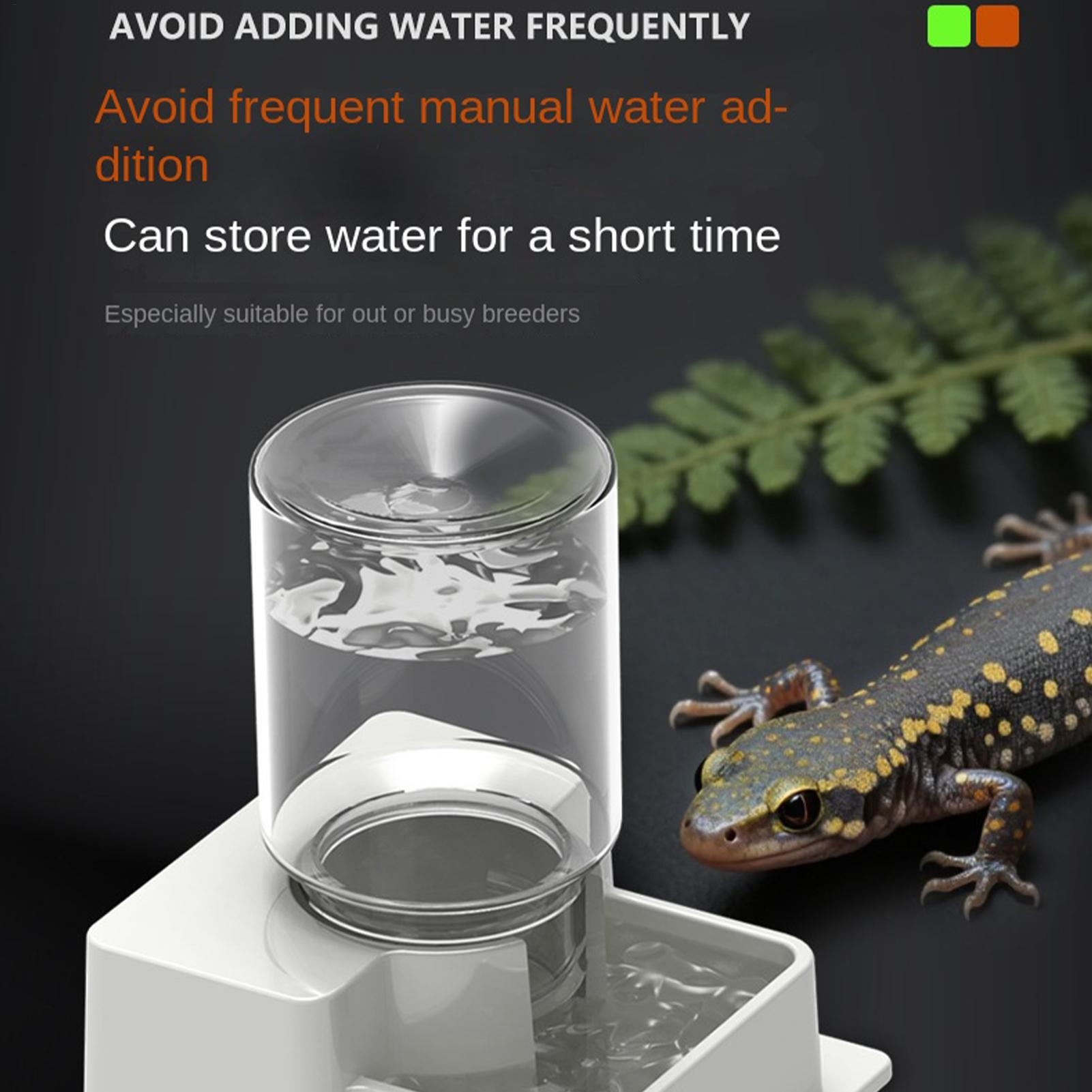 Bebedero Automático para Dragó - Water Dish Reptile reseña y precio