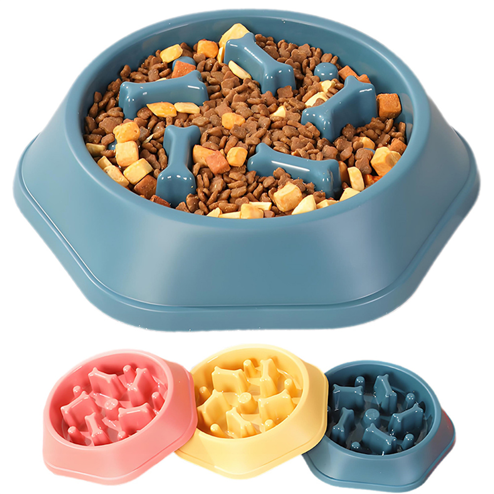 Comedero lento para perros, cu - Royal Canin Food Medium reseña y precio