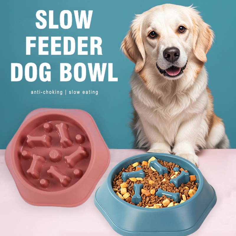 Comedero lento para perros, cu - Royal Canin Food Medium reseña y precio