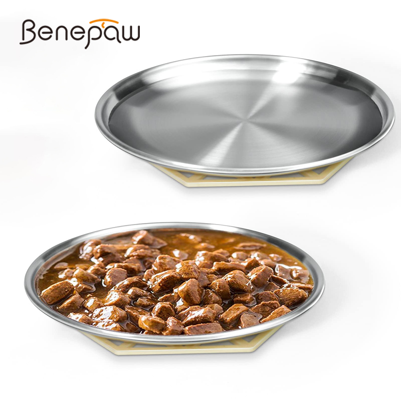 Benepaw-cuenco de acero inoxid - Royal Canin Food Medium reseña y precio