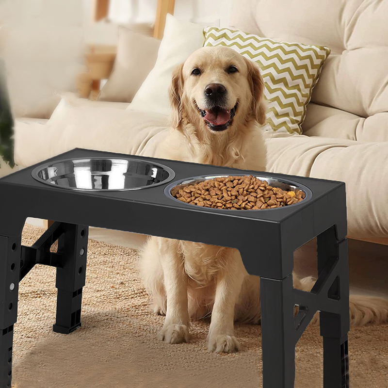 BOOTEELY Cuencos elevados para - Royal Canin Food Medium reseña y precio
