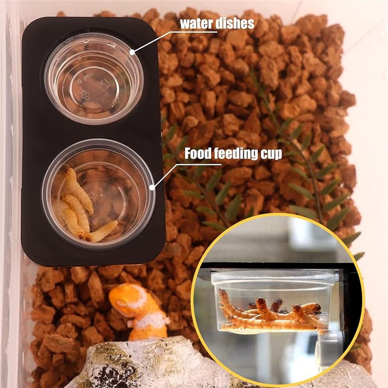 Tazas para alimentar con comid - Water Dish Reptile reseña y precio