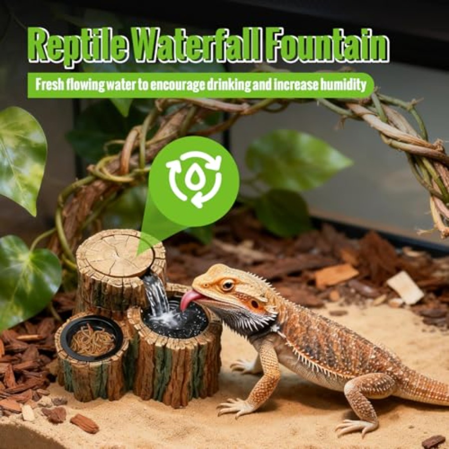 Bebedero para Reptiles 2 en 1  - Water Dish Reptile reseña y precio