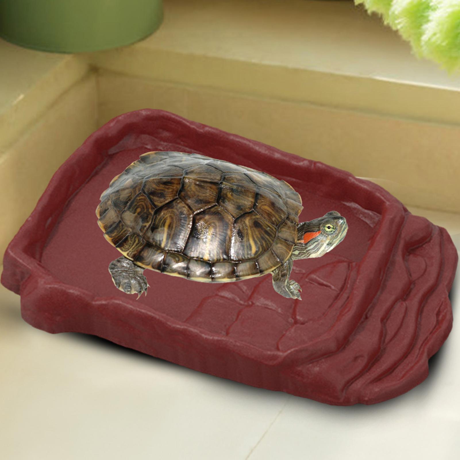 Bañera para Tortugas, Plato de - Water Dish Reptile reseña y precio