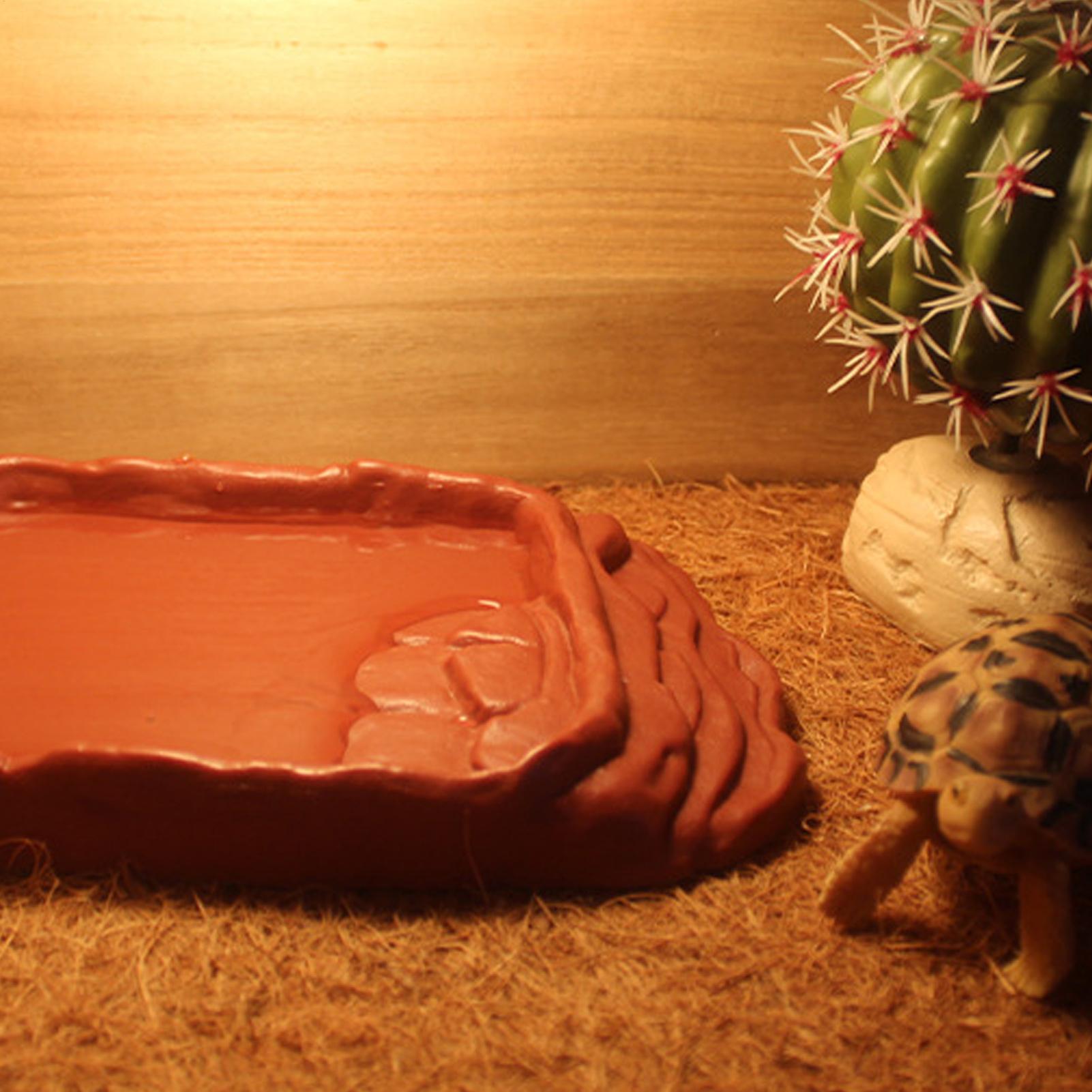 Bañera para Tortugas, Plato de - Water Dish Reptile reseña y precio
