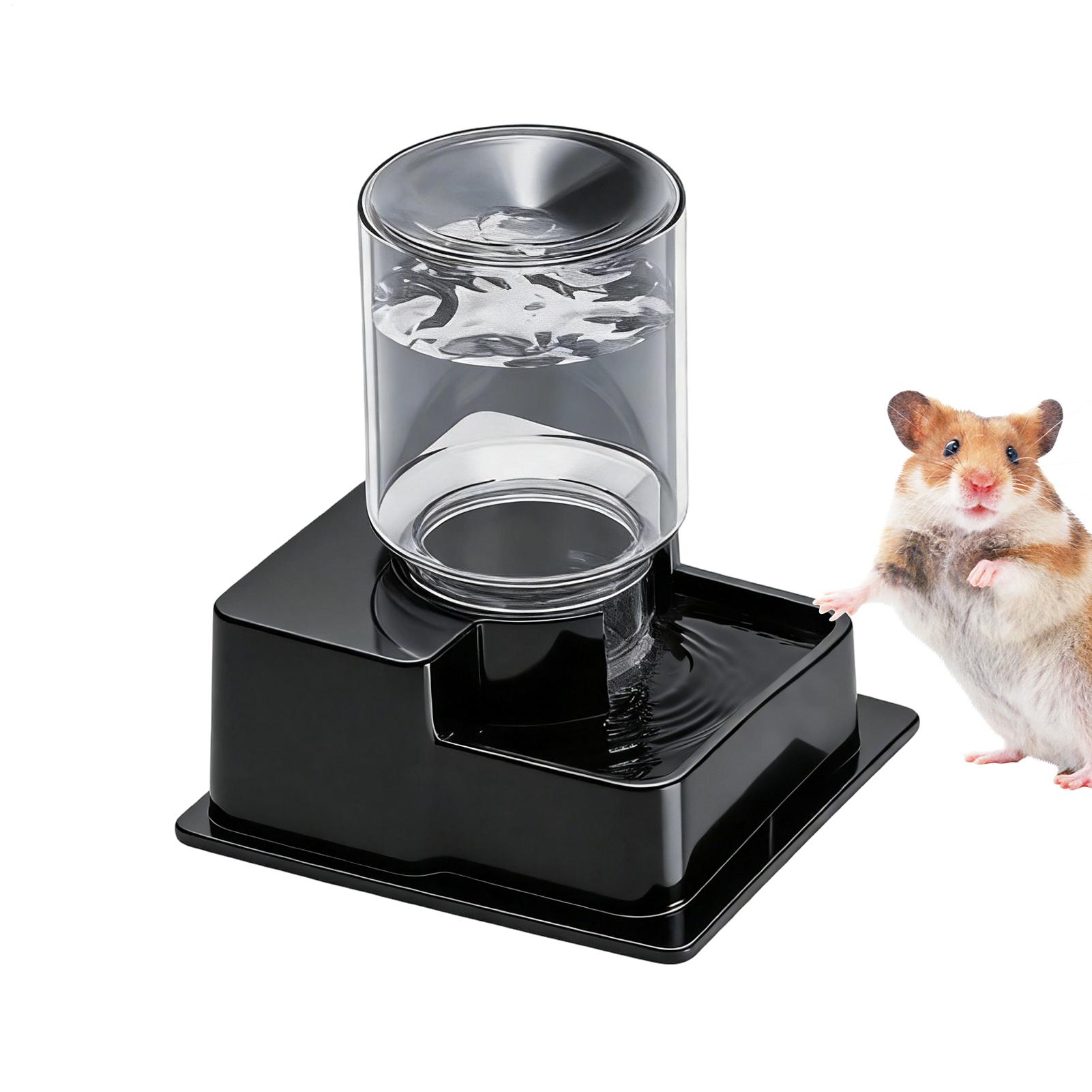 Comedero automático para repti - Water Dish Reptile reseña y precio