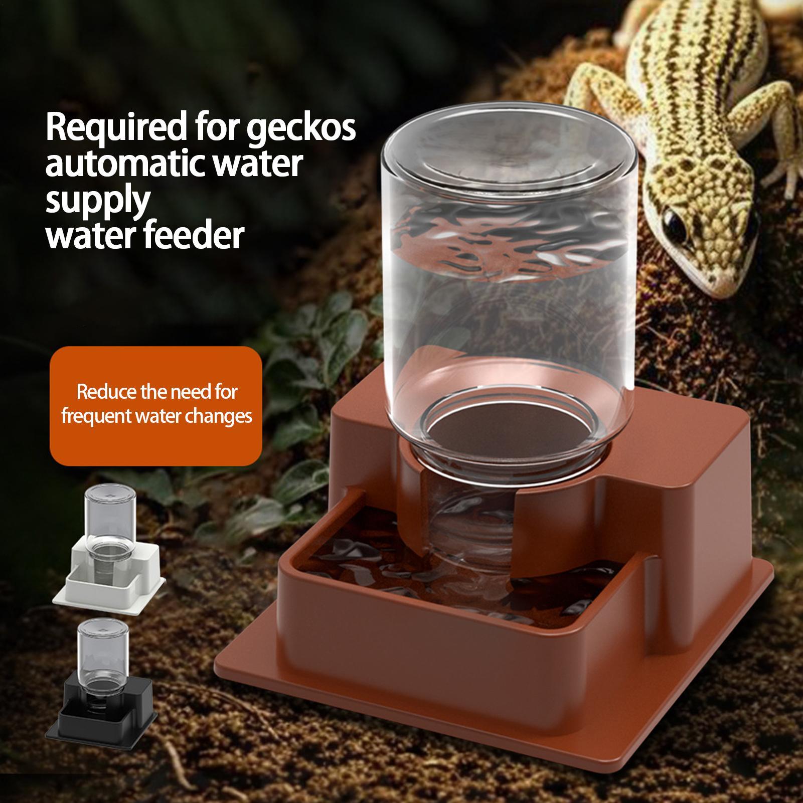 Comedero automático para repti - Water Dish Reptile reseña y precio