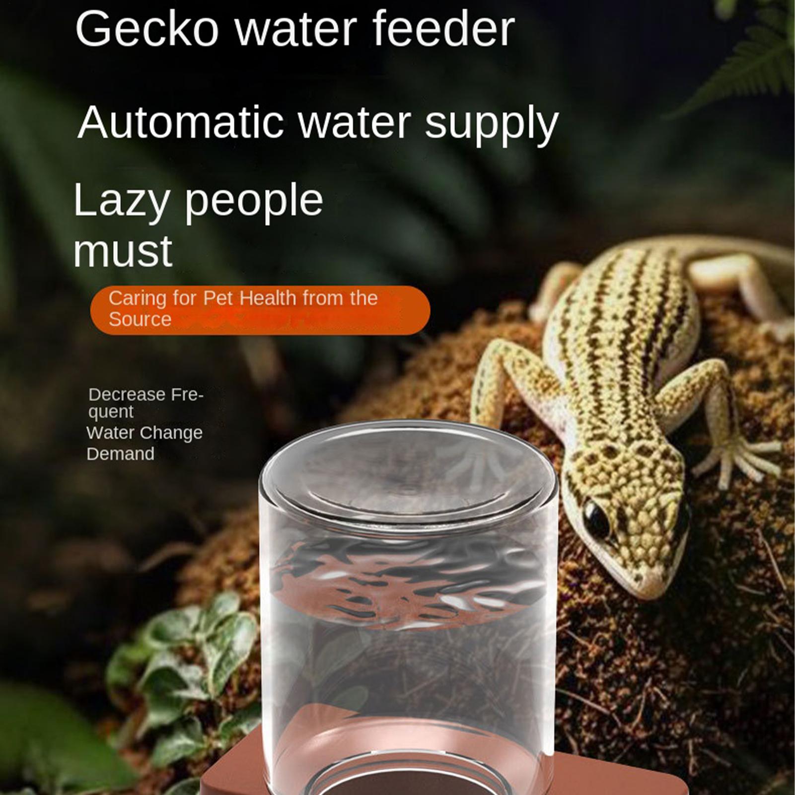 Comedero automático para repti - Water Dish Reptile reseña y precio
